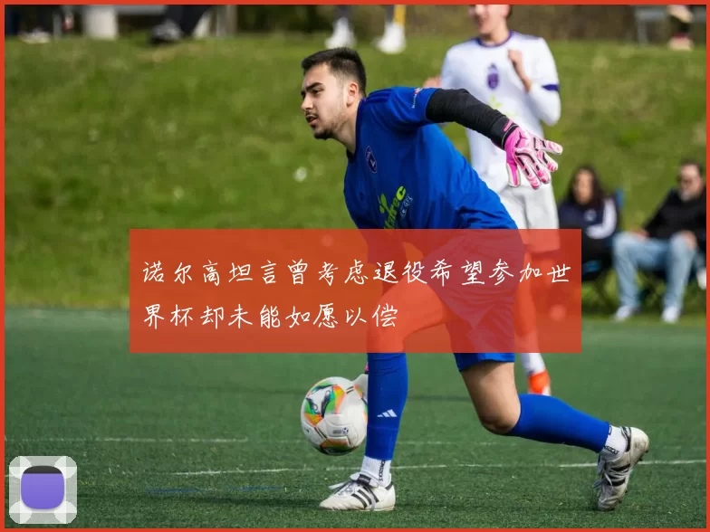 诺尔高坦言曾考虑退役希望参加世界杯却未能如愿以偿